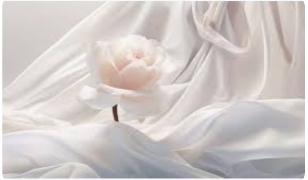 korean tasal silk